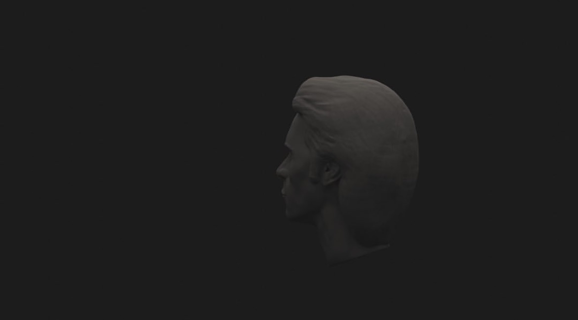 Male head sculpt, profile view