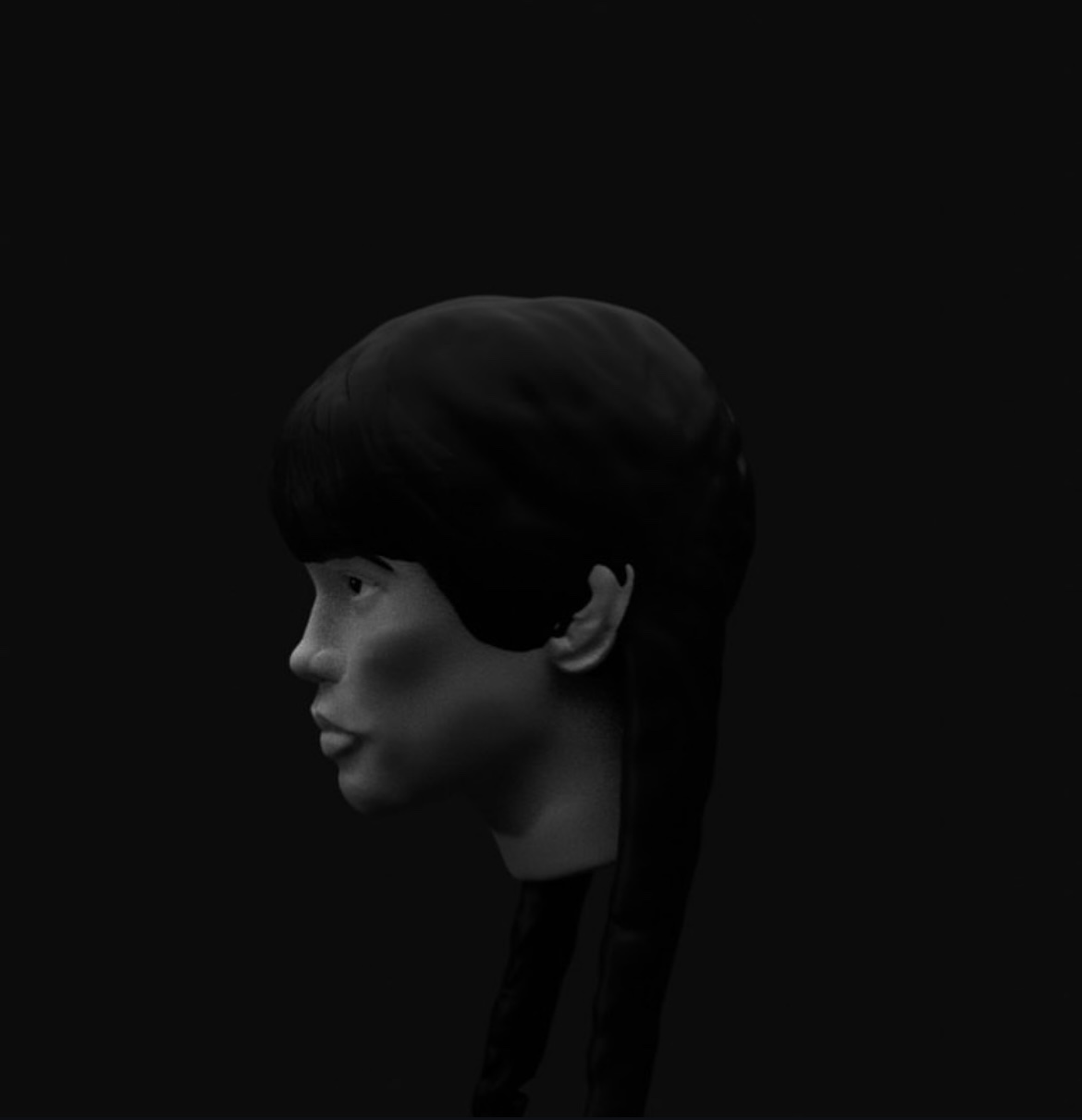 Profile sculpt with braids